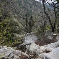 Photo de france - La randonnée du Mont Caroux